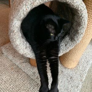 Meet your Posher, Louise